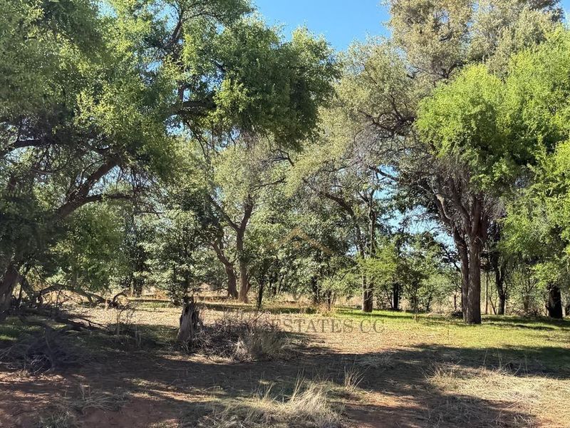 A view of a natural, wooded garden area featuring mature trees and established vegetation on the farm property.
