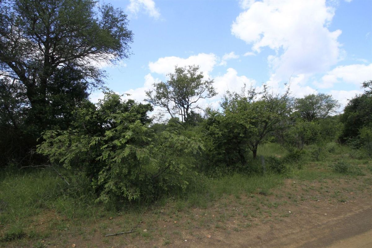 Vacant Land in MODITLO NATURE RESERVE - Photo 2