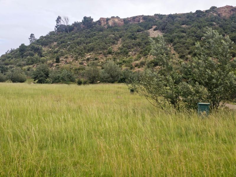 Experience the Tranquility of Mountain Living with This Prime 1250 sqm Vacant Land - Photo 2