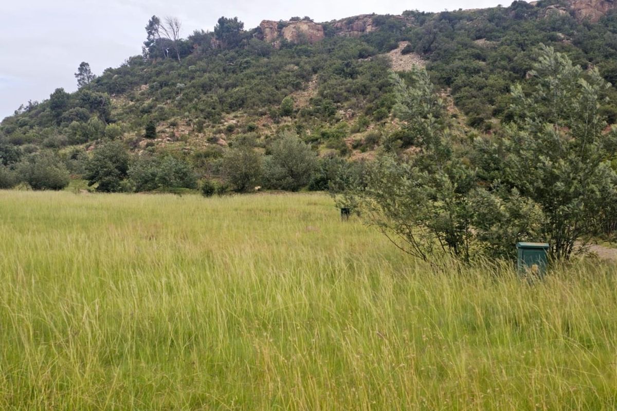 Experience the Tranquility of Mountain Living with This Prime 1250 sqm Vacant Land - Photo 2