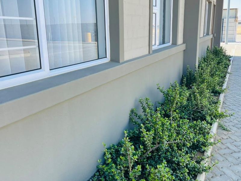 A side view of the townhouse exterior featuring modern aluminium window frames, a paved walkway, and established garden landscaping along the building facade.