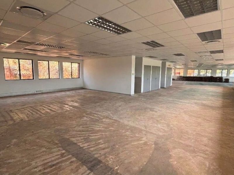 A large, open-plan office space featuring a suspended ceiling, recessed lighting, and extensive windows, currently vacant with worn flooring.