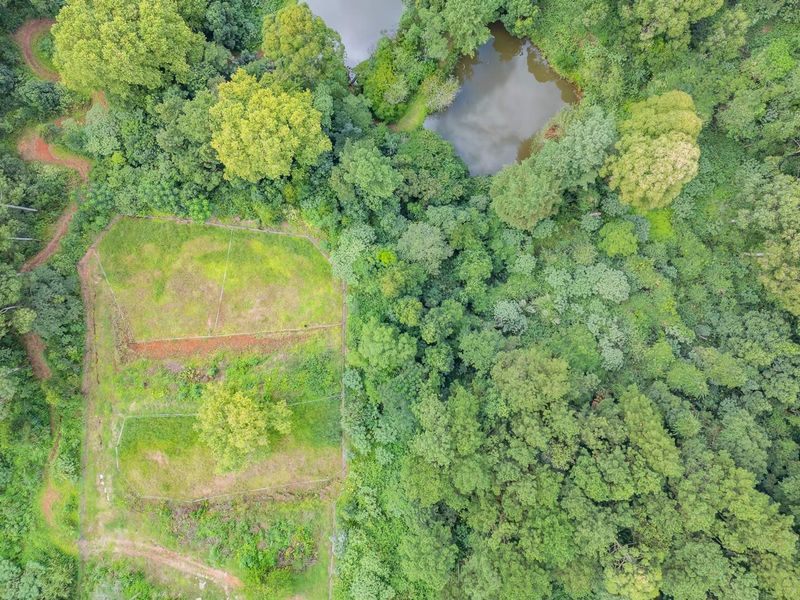 Land for sale in Assagay - Photo 4
