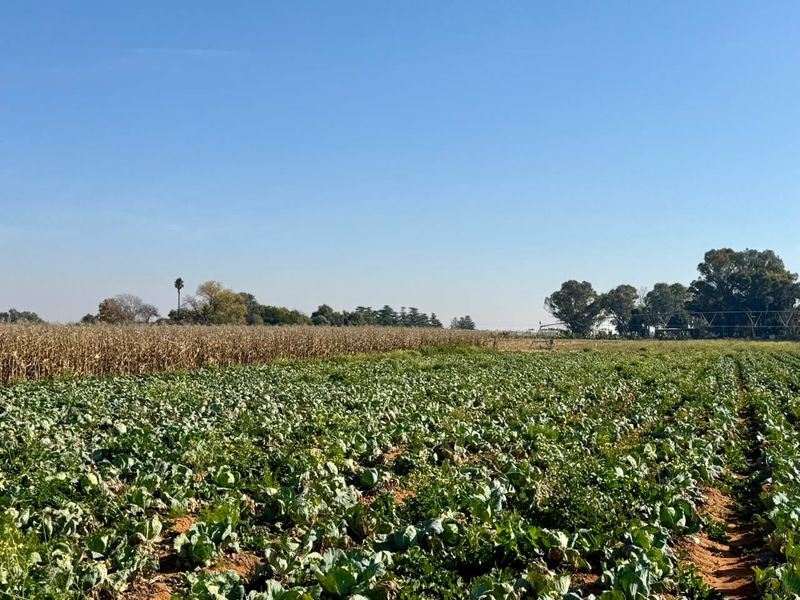 Farm Just Outside Town with Valuable Water Rights - Photo 7