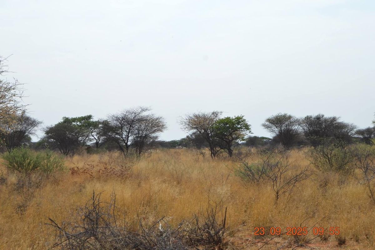 A view of the vacant agricultural land featuring natural dry grass and scattered native trees.