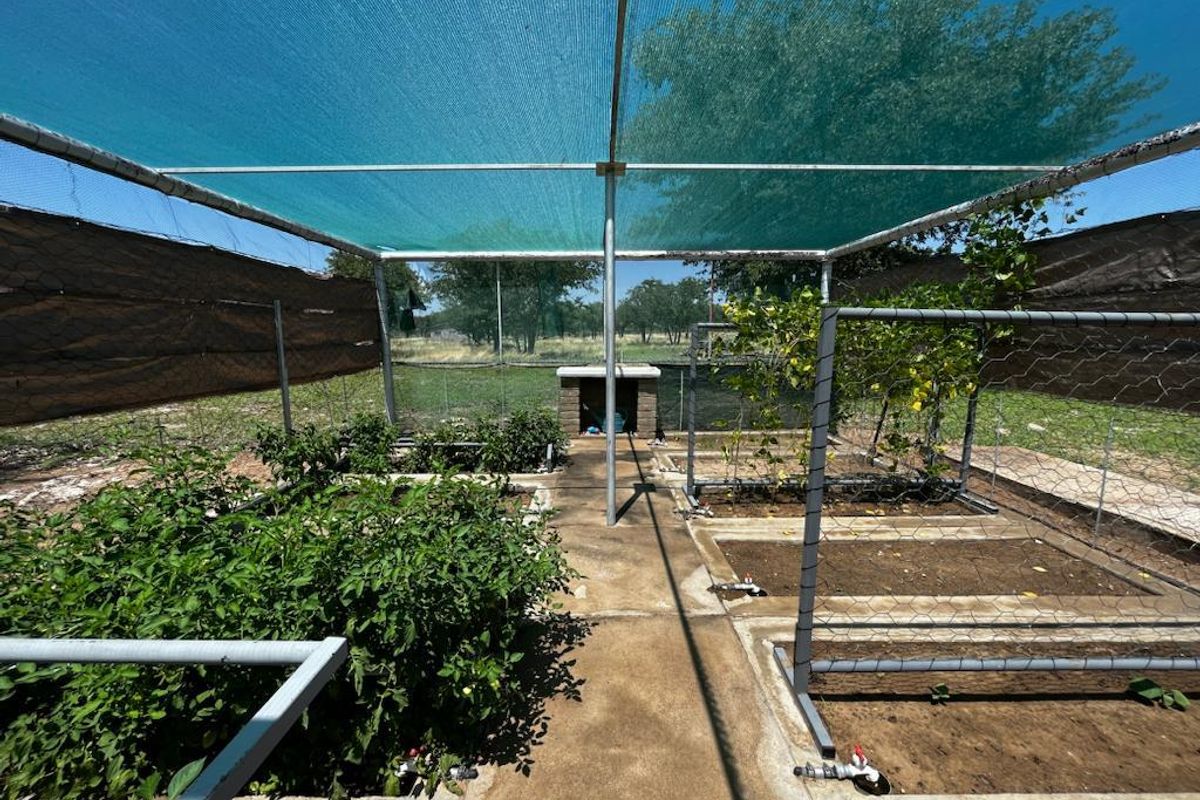 Immerse yourself in the charm of rural living – our stock farm invites you to embrace a life surrounded by nature, livestock, and the simple joys of the country - Photo 4