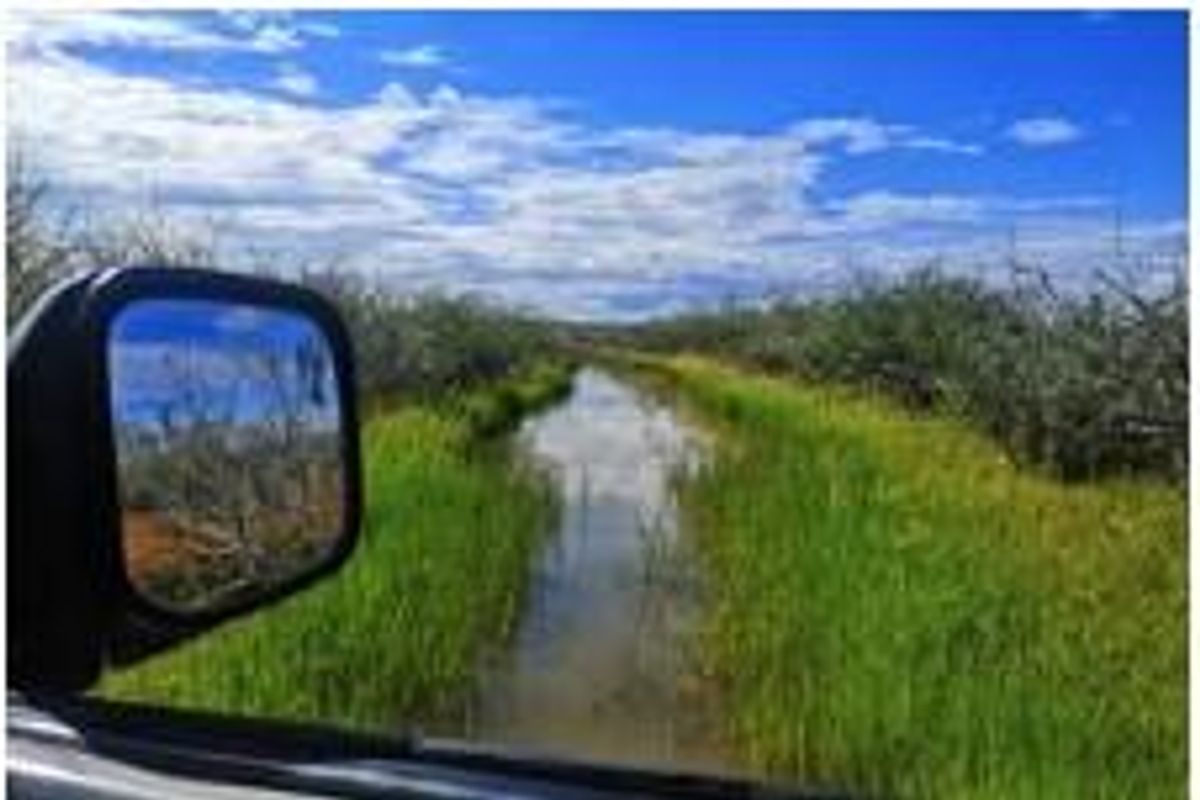 Commercial Agricultural Farm for Sale-Maltahohe - Photo 5