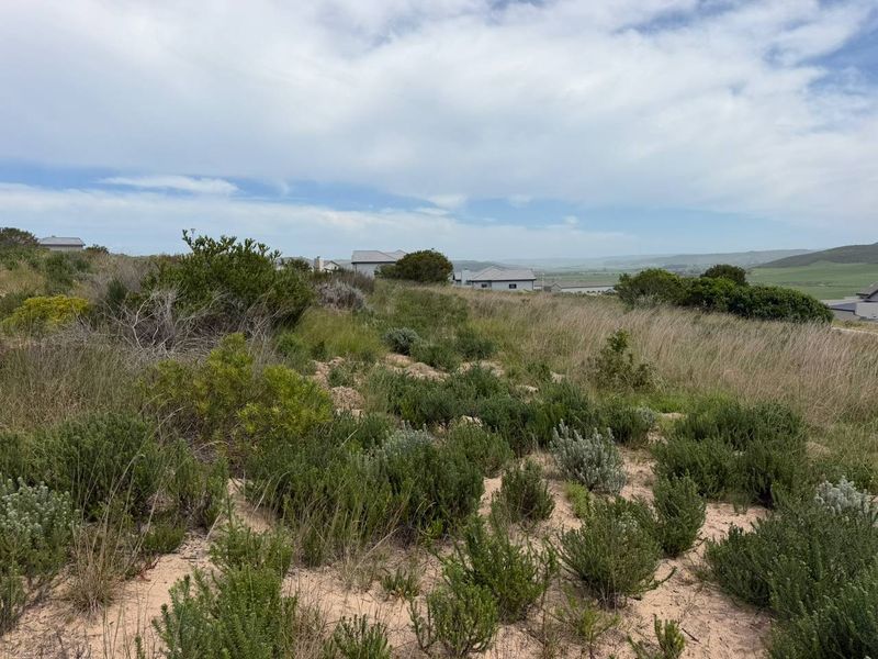 A view of a vacant residential plot featuring natural coastal vegetation and sandy terrain with surrounding neighborhood homes in the distance.