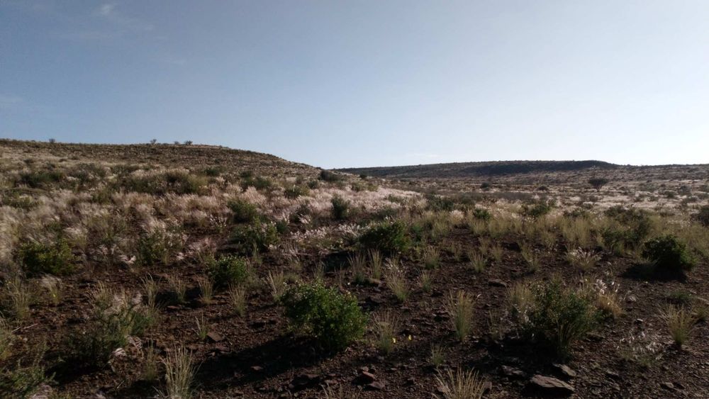 Hill tops covered with soft grassy vegetation 