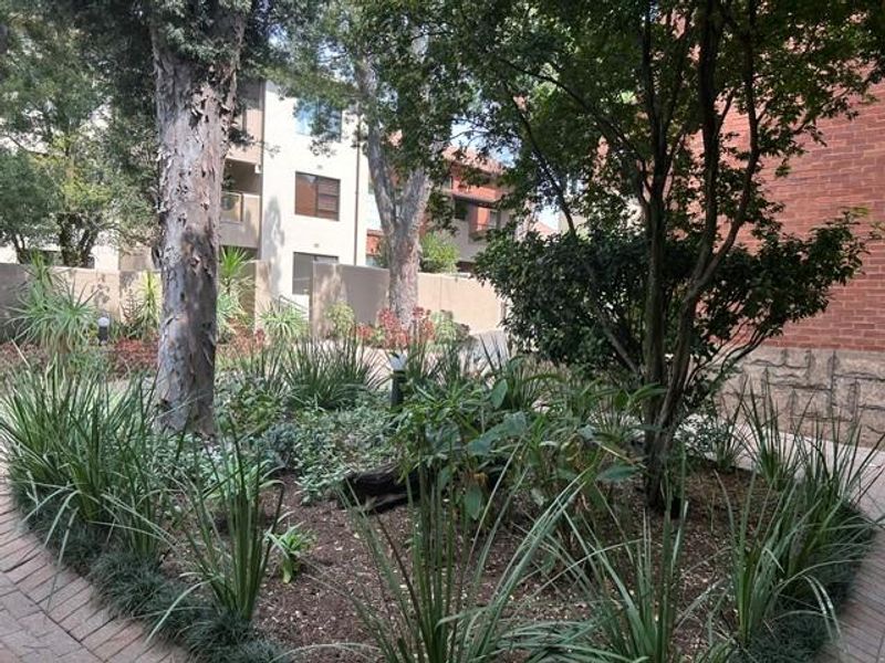 A well-maintained communal garden area featuring mature trees, established landscaping, and brick-paved pathways surrounding the apartment building.