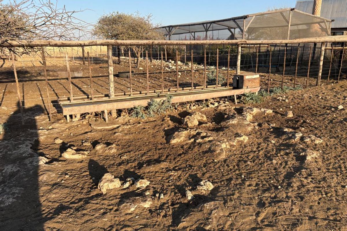 Grootfontein Farm For Sale - Photo 5