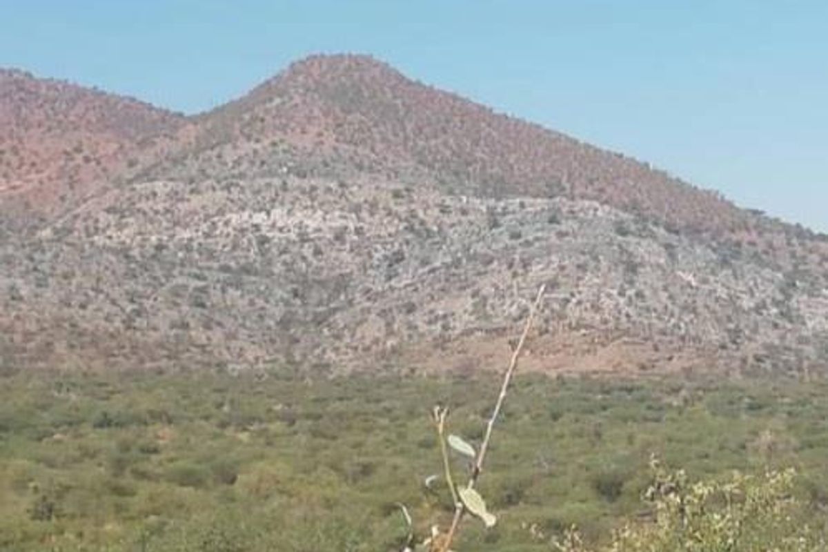 A scenic view of the surrounding natural landscape and mountain range, showcasing the expansive outdoor environment of the small holding.