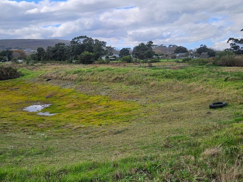 Expansive 10.97 Hectare Lifestyle Farm with Scenic Views - Photo 9