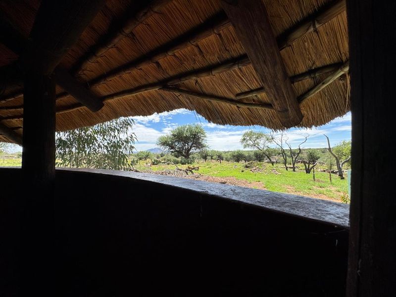 A covered outdoor patio area featuring a traditional thatched roof, timber support beams, and a built-in counter overlooking the surrounding farm landscape.