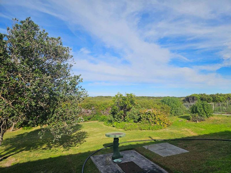 A well-maintained garden area featuring a lush lawn, concrete paving, and natural coastal vegetation under a clear blue sky.