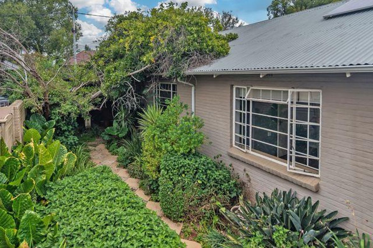 Rear exterior view of the house featuring a corrugated metal roof, brick walls, and steel-framed windows surrounded by dense, overgrown garden vegetation.