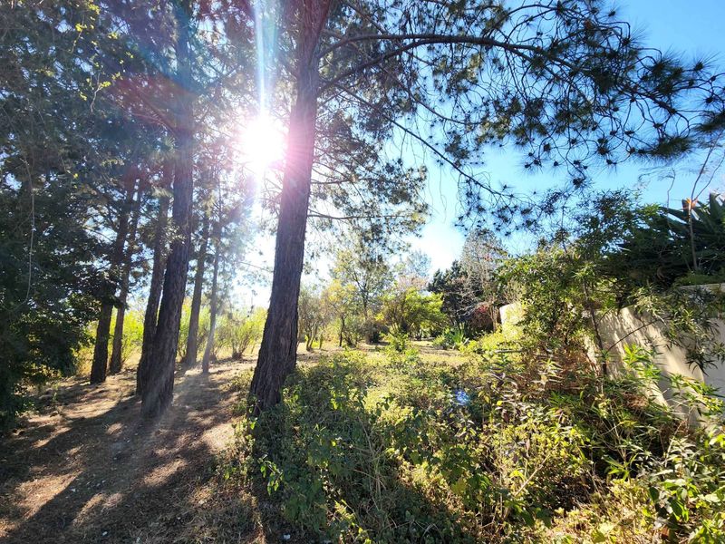 Investor’s Opportunity – 2.5 Hectares for Sale in Glenferness - Photo 4