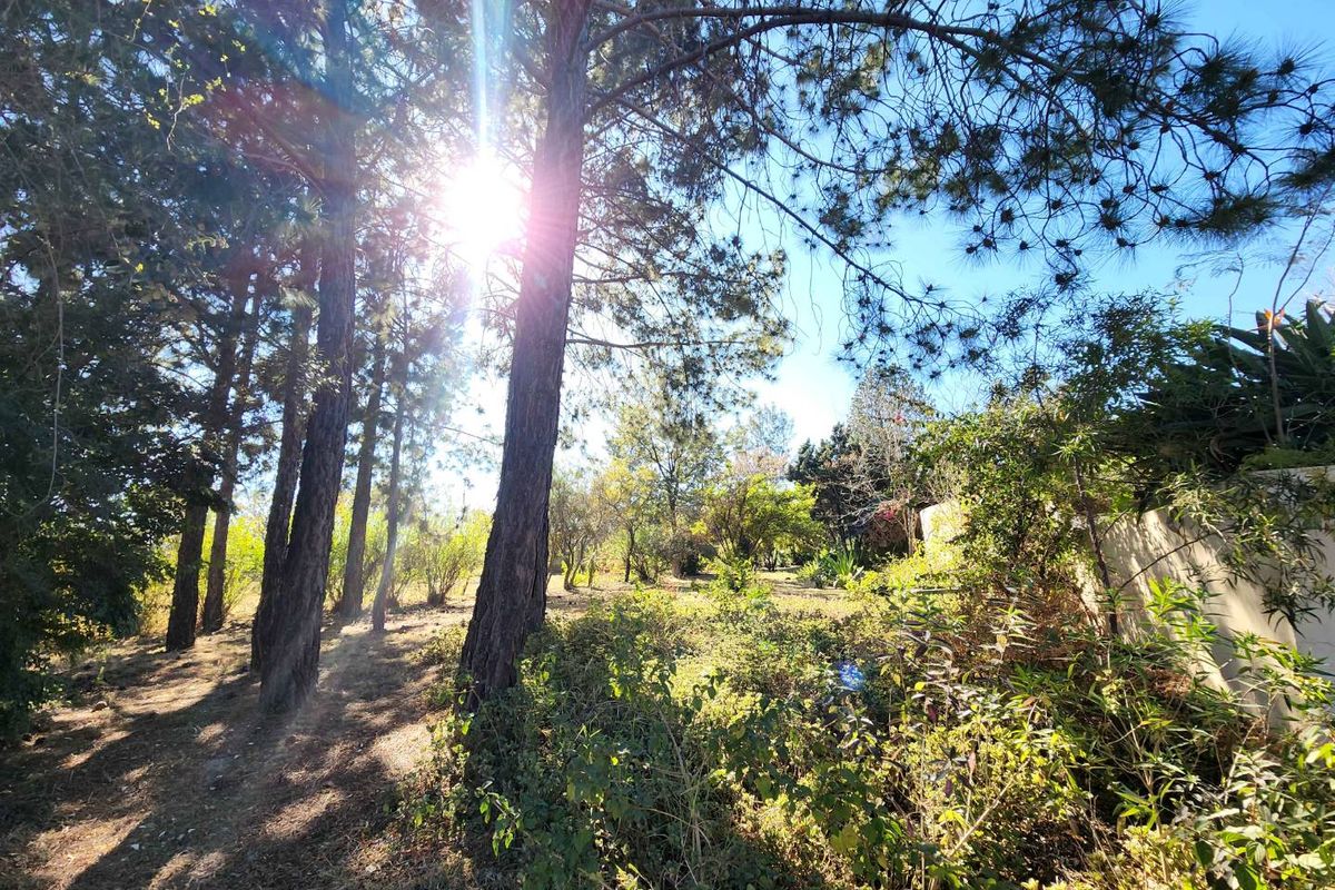 Investor’s Opportunity – 2.5 Hectares for Sale in Glenferness - Photo 4