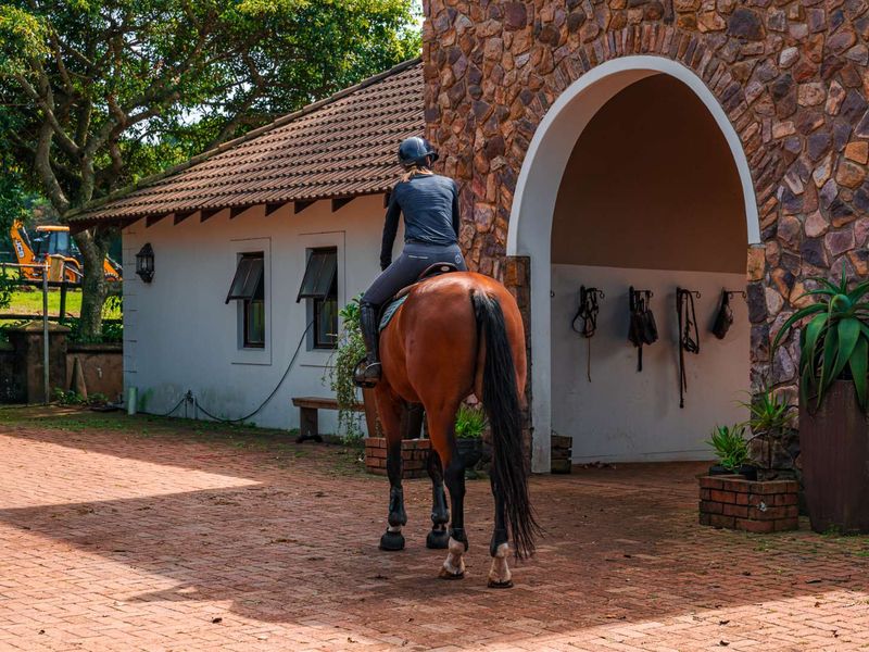 Breathtaking 3 Bedroom Modern Home in Alverstone Equestrian Estate - Photo 5