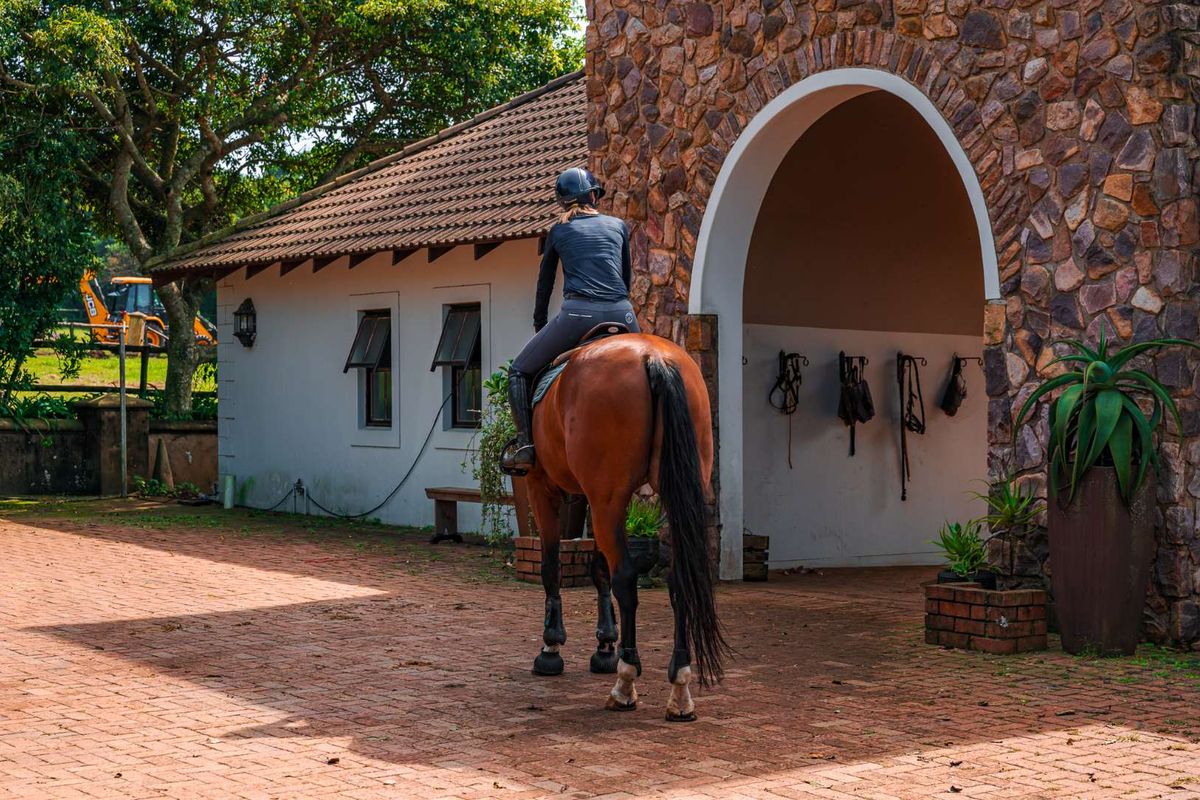 Breathtaking 3 Bedroom Modern Home in Alverstone Equestrian Estate - Photo 5