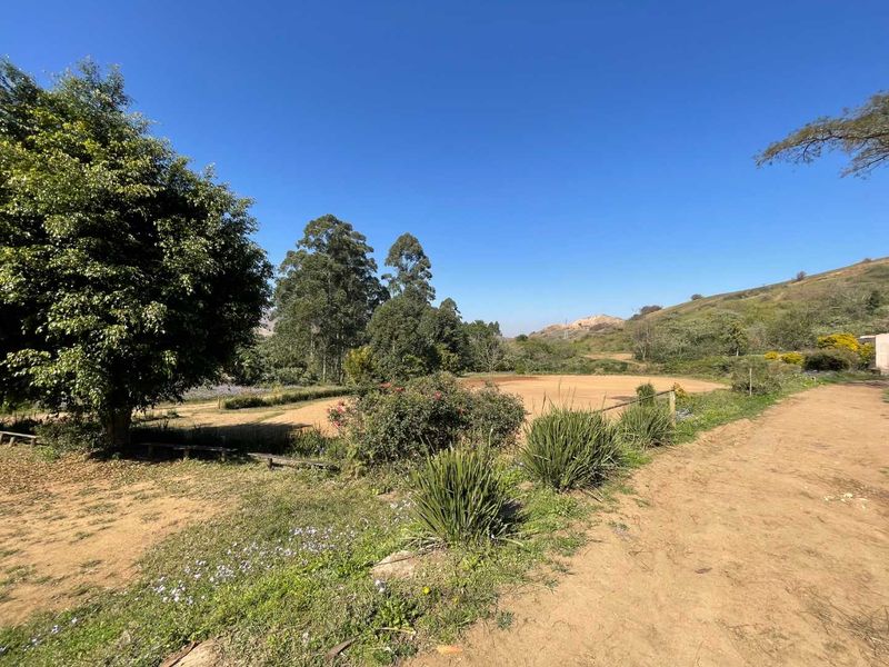 Blank Canvas 4 Hectares of Land in Quiet Cliffdale Area - Photo 8