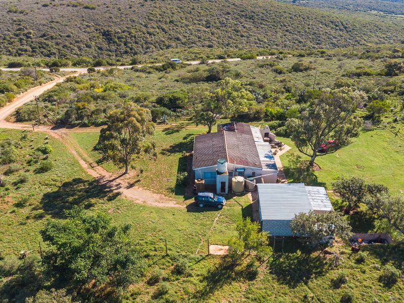 Fertile Soil & Endless Views – An Agricultural Dream Near Uitenhage. - Photo 7