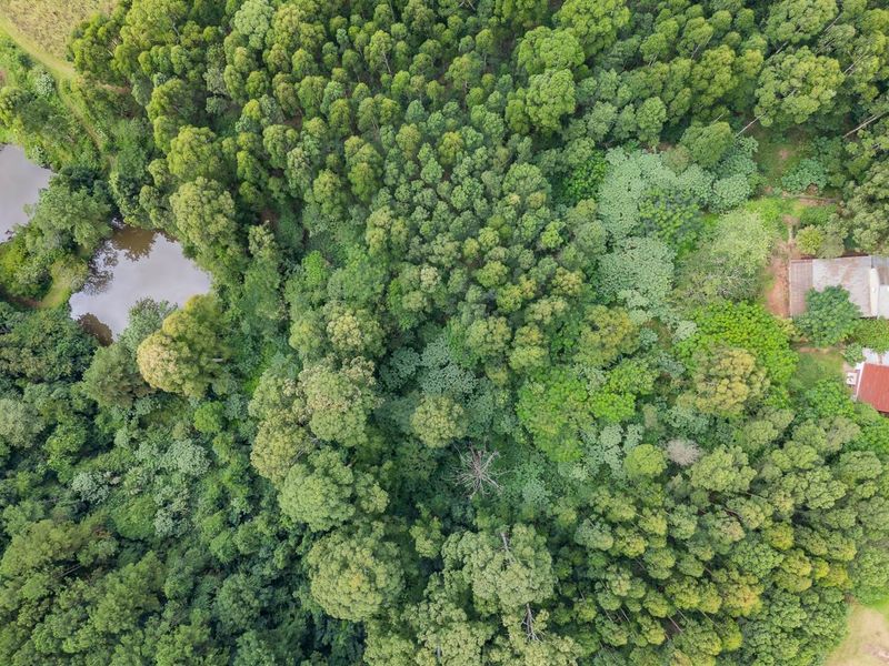 Land for sale in Assagay - Photo 6