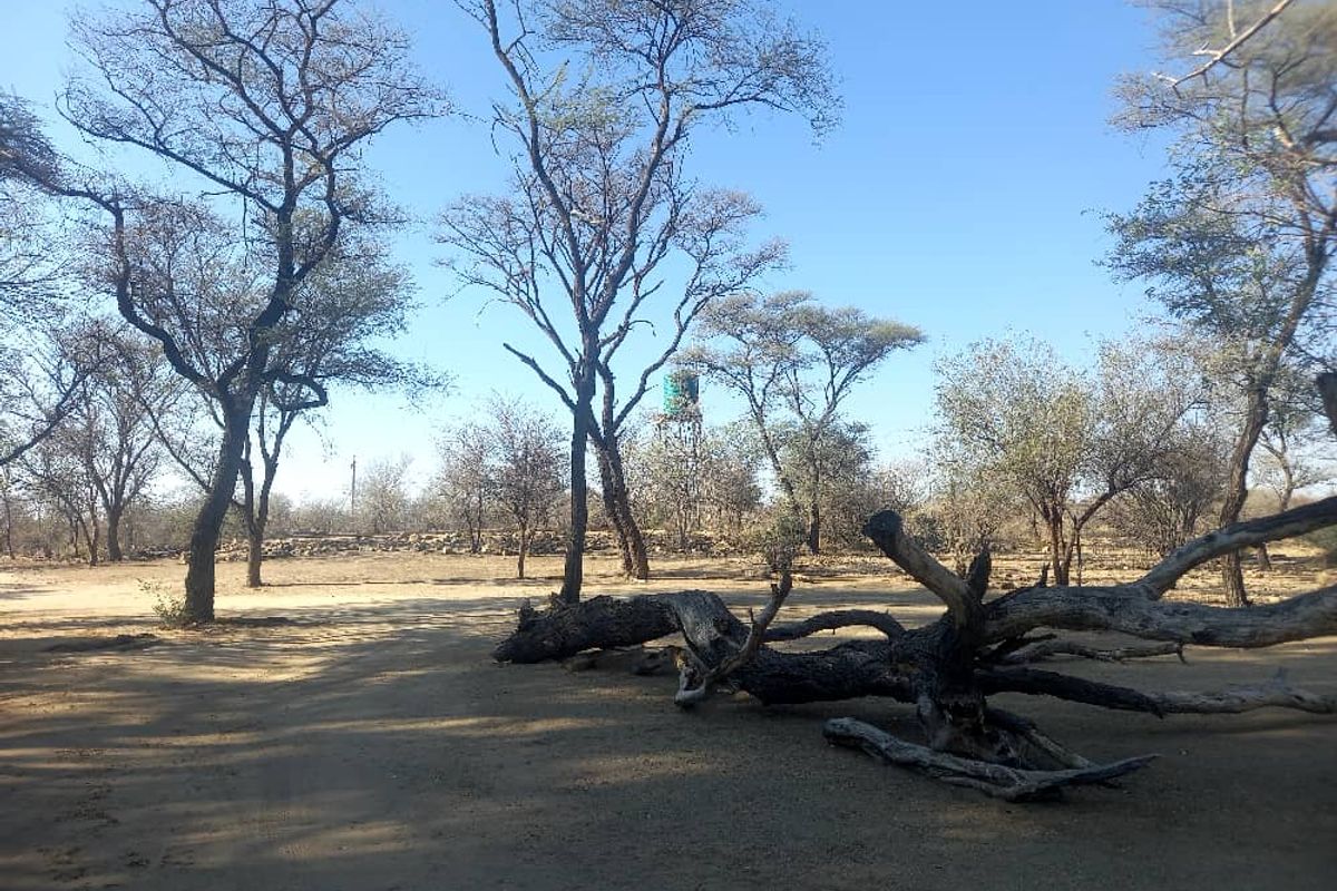 Omaruru - Photo 3