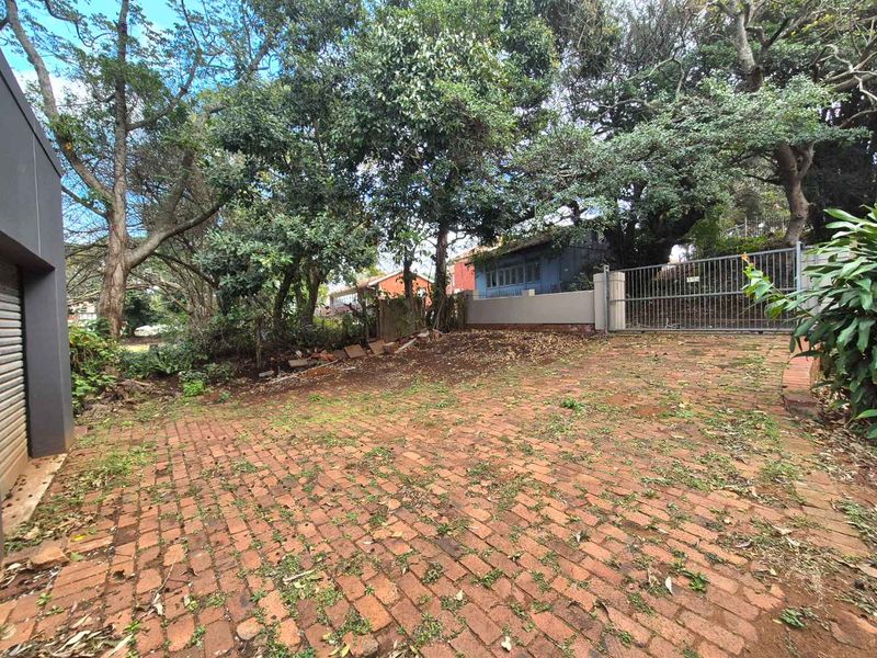 A paved driveway area featuring a metal gate and masonry boundary wall, surrounded by mature trees and overgrown garden space.