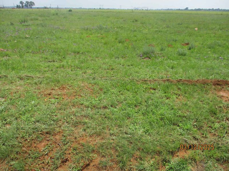 Enjoy the tranquility of Henley - Photo 6