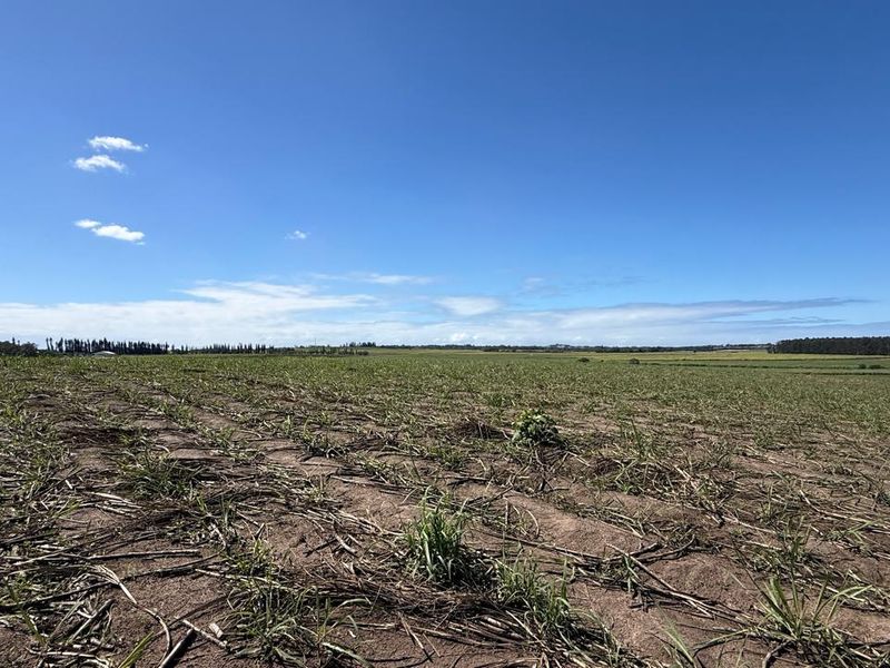 A wide-angle view of expansive agricultural farmland under a clear blue sky, showcasing the open landscape and fertile soil of the property.