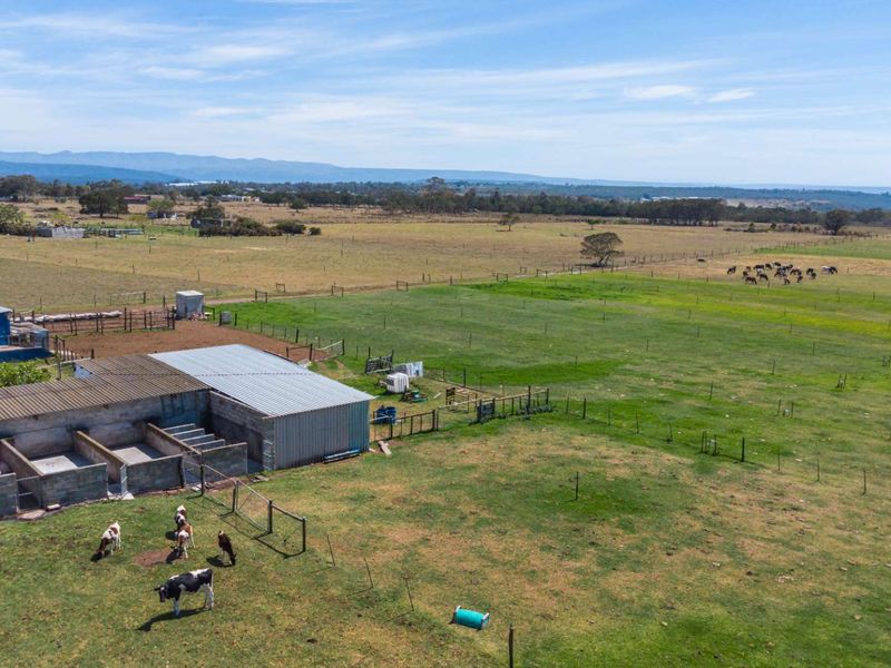 Dairy Farm for Sale, Eastern Cape - Photo 10