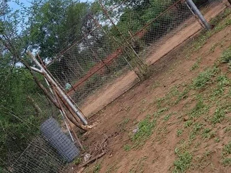 13 Hectares Farm for sale at Mangondi Ha Jimkone - Photo 9