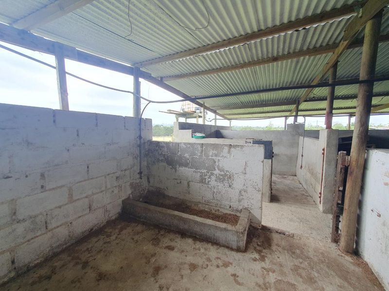 28ha Farm - Photo 10