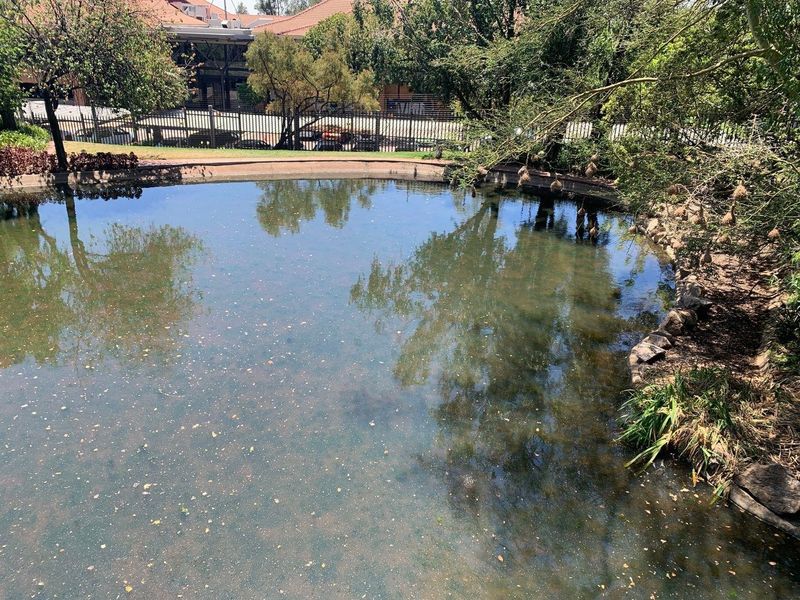 1 960m2 Woodmead Office To Let - Photo 4