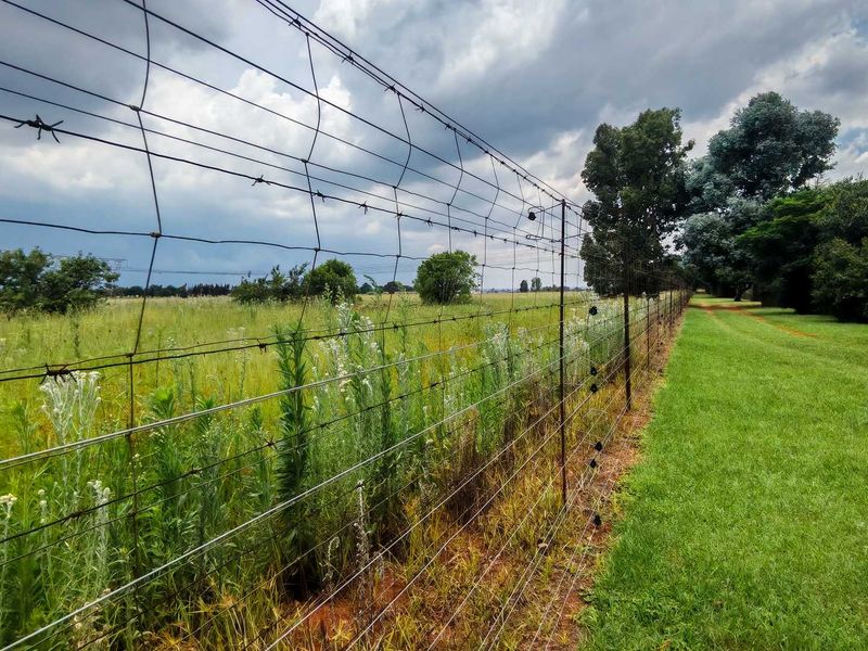 Business Opportunity with Country Living! - Photo 9