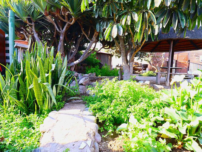 A lush, established garden featuring a thatched gazebo, stone pathways, and mature trees, providing a tranquil outdoor space.