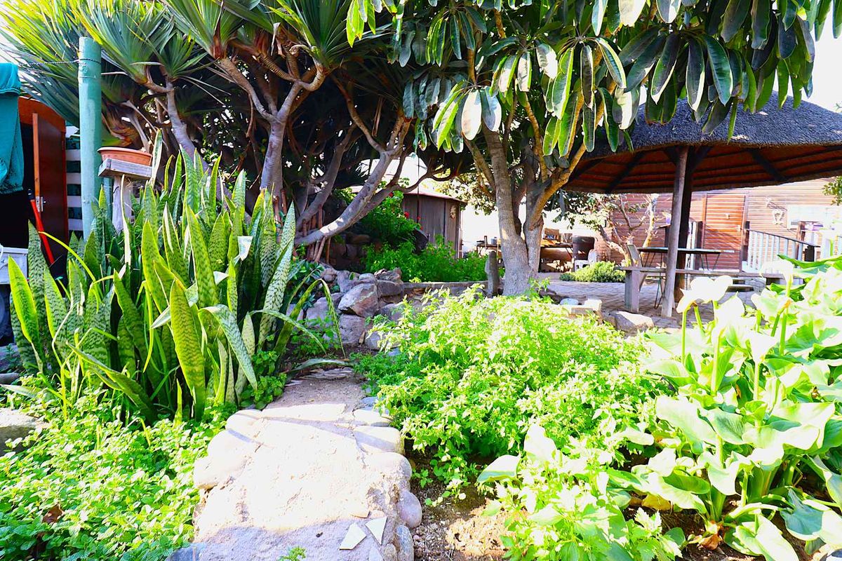A lush, established garden featuring a thatched gazebo, stone pathways, and mature trees, providing a tranquil outdoor space.