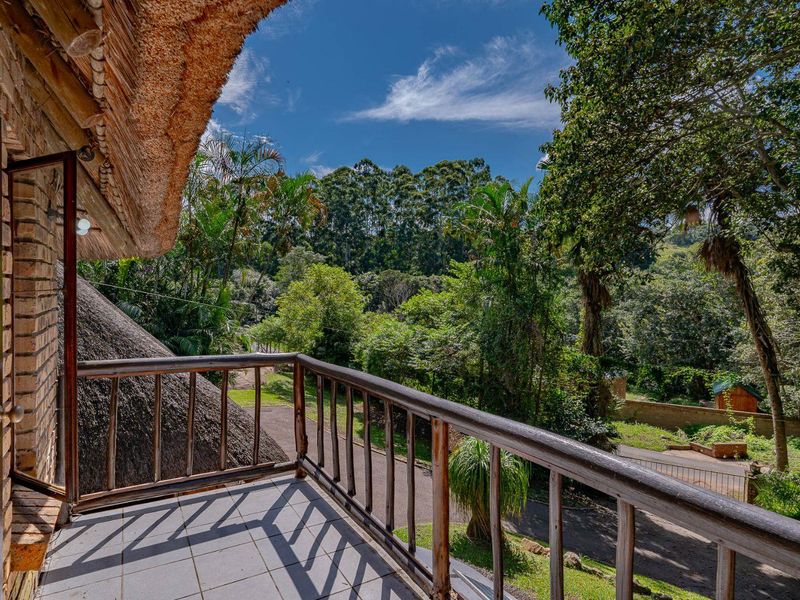 AFRICAN DREAM - Photo 4