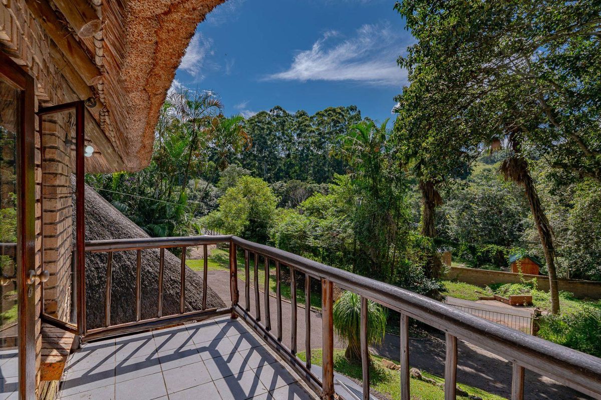 AFRICAN DREAM - Photo 4