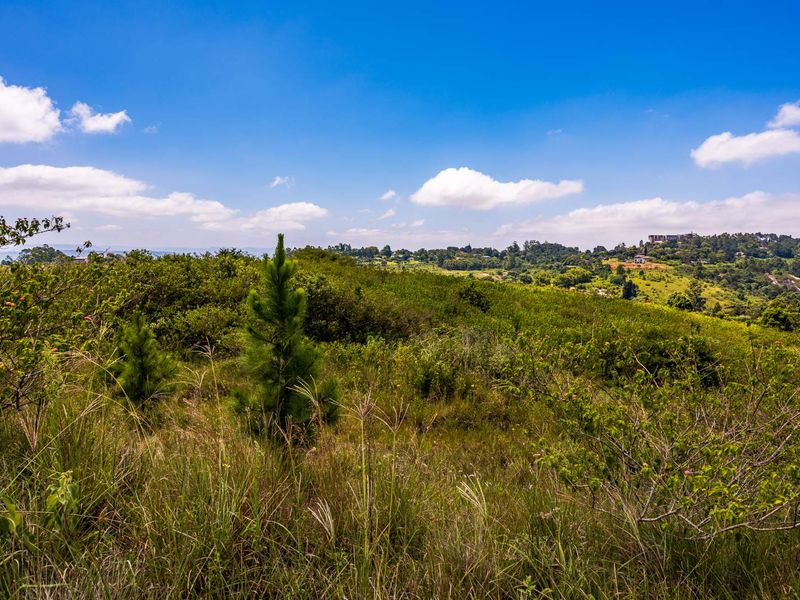 A scenic view of the natural landscape and surrounding greenery, showcasing the open terrain of the vacant residential land.