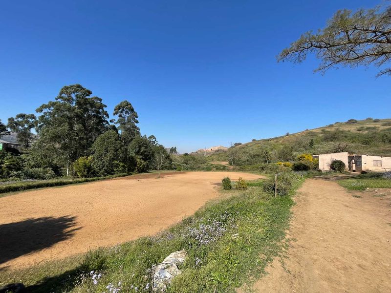 Blank Canvas 4 Hectares of Land in Quiet Cliffdale Area - Photo 1