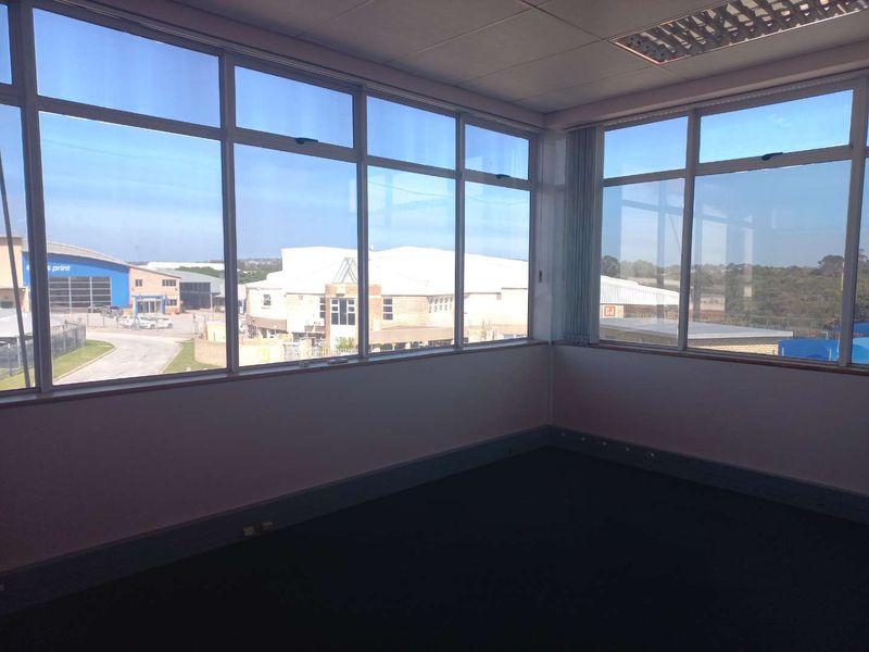 A bright, empty corner office space featuring large windows, carpeted flooring, and a suspended ceiling with recessed lighting.