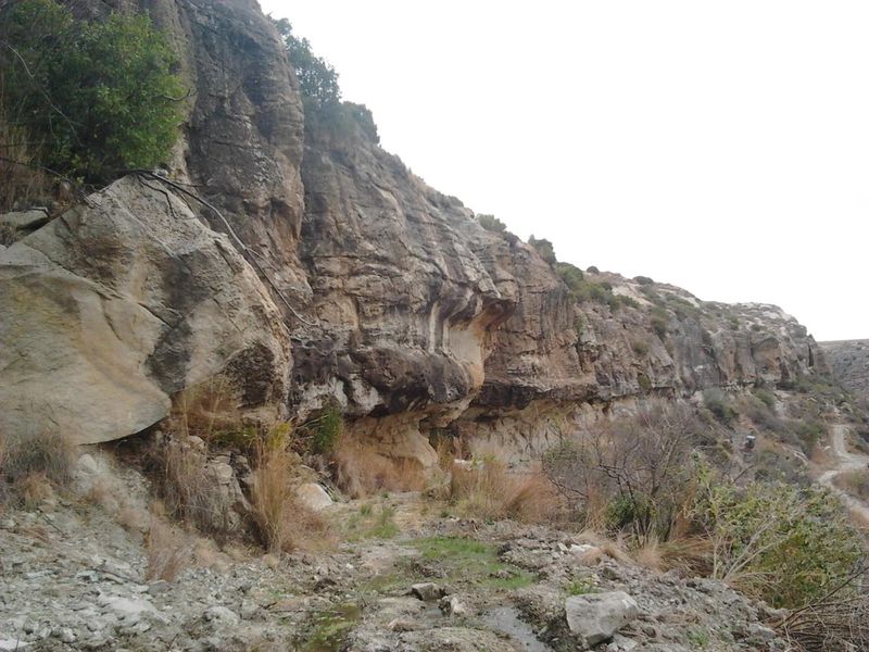 Unmatched Opportunity: Farm & Bottling Biz in One - Photo 8