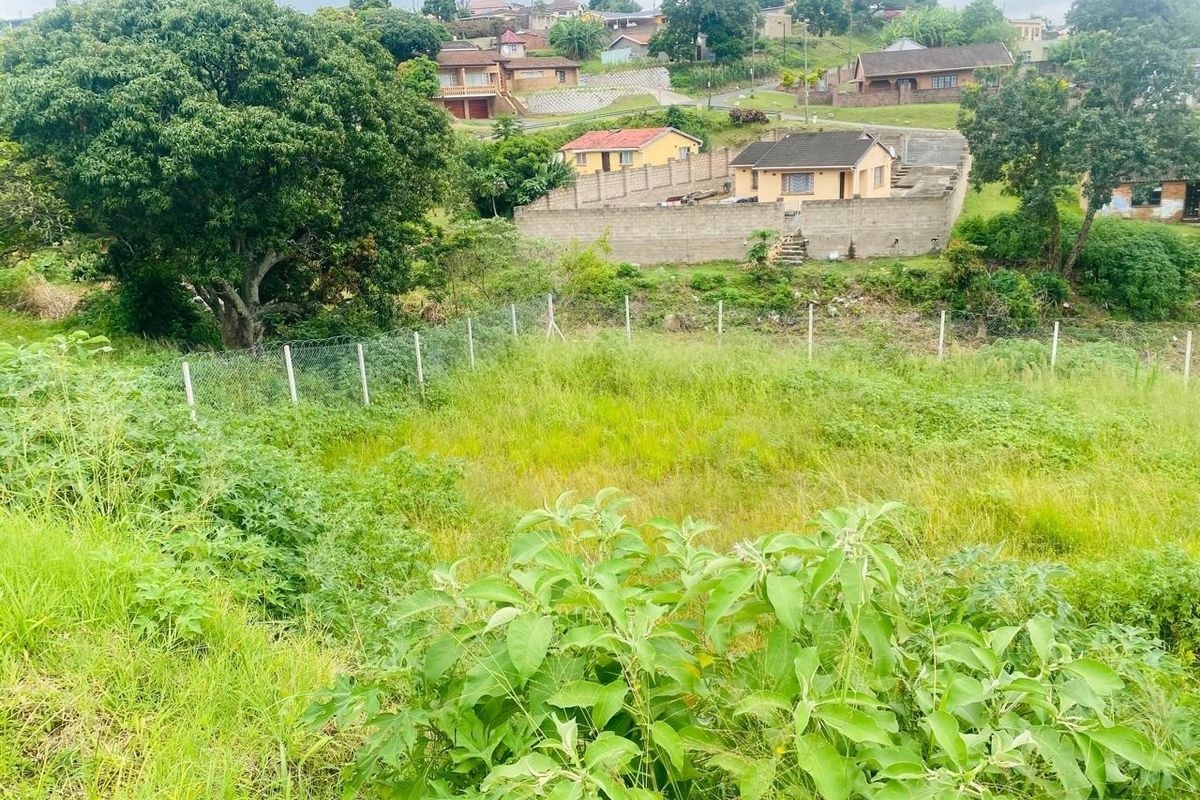A view of a vacant residential plot featuring natural vegetation, enclosed by wire mesh fencing and a concrete block boundary wall.