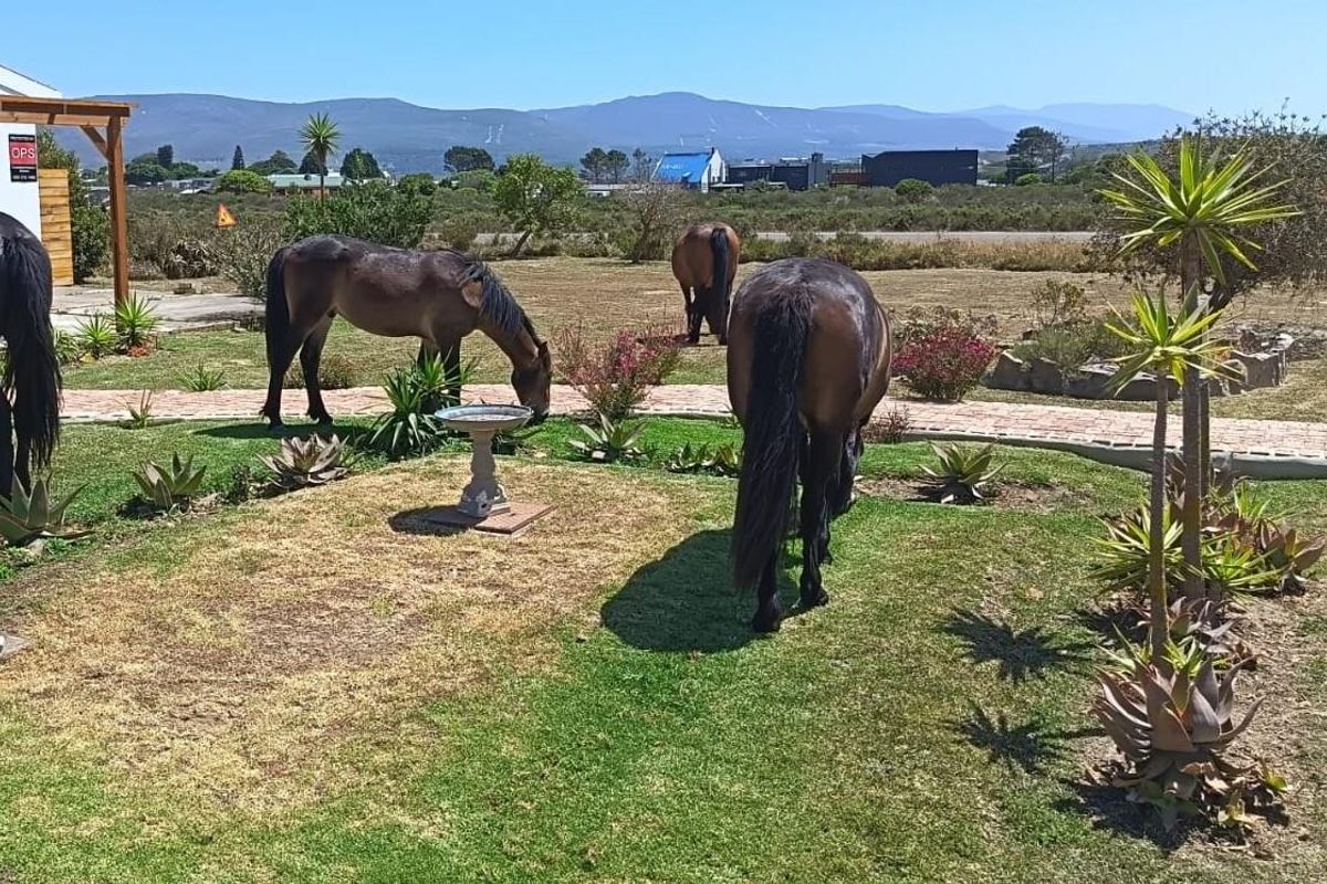 A landscaped residential garden area featuring a brick paved pathway and a timber pergola structure with mountain views in the background.