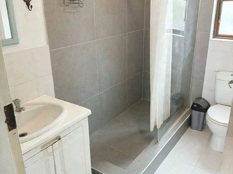 A functional bathroom featuring a walk-in shower with grey tiling, a vanity basin, and a standard toilet.