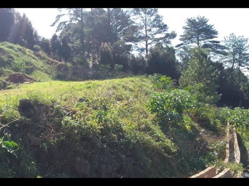 ELEVATED TERRACED VACANT LAND IN BOTHAS HILL - Photo 9