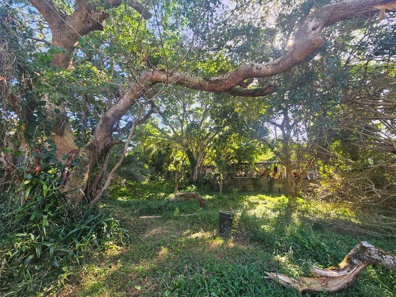 FOR SALE: A Once-in-a-Lifetime Opportunity in St Lucia's Most Prestigious Location LOCATION, LOCATION, LOCATION! - Photo 10