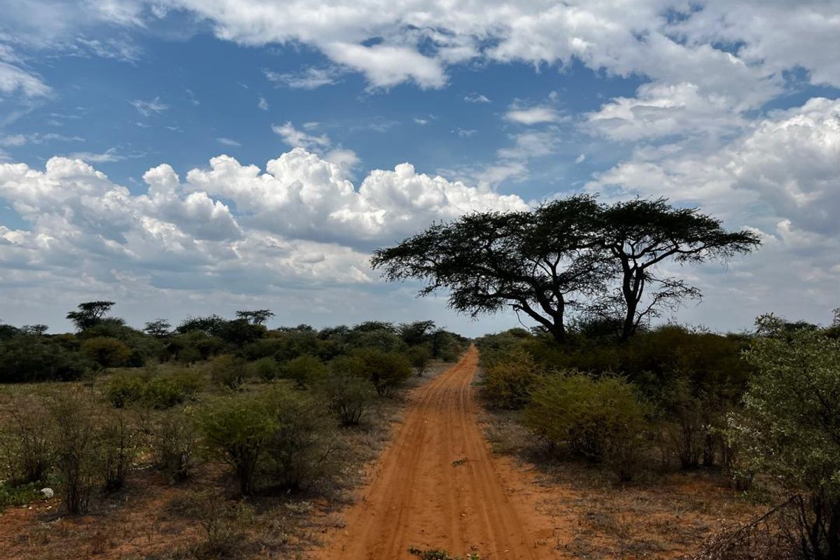 Looking to invest in your own piece of Namibian farmland? This incredible opportunity offers space, structure, and serious farming potential. - Photo 2